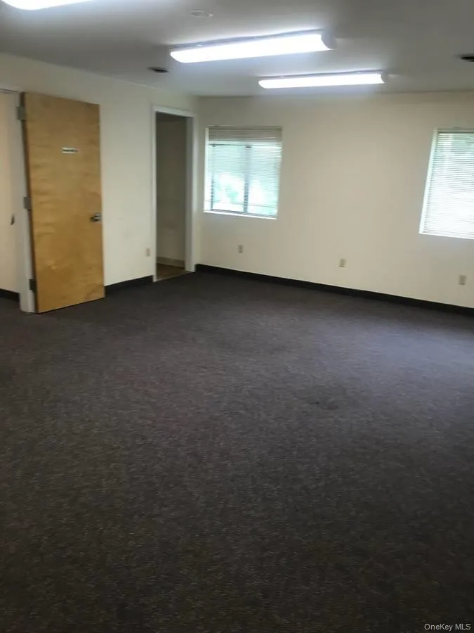 Empty room with dark colored carpet and healthy amount of natural light Empty room with dark colored carpet and healthy amount of natural light