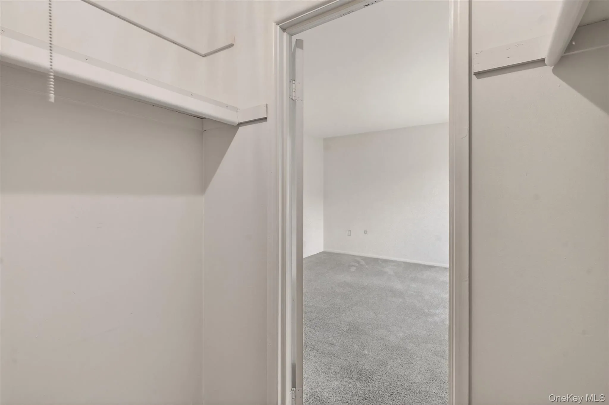 Spacious closet with carpet Spacious closet with carpet