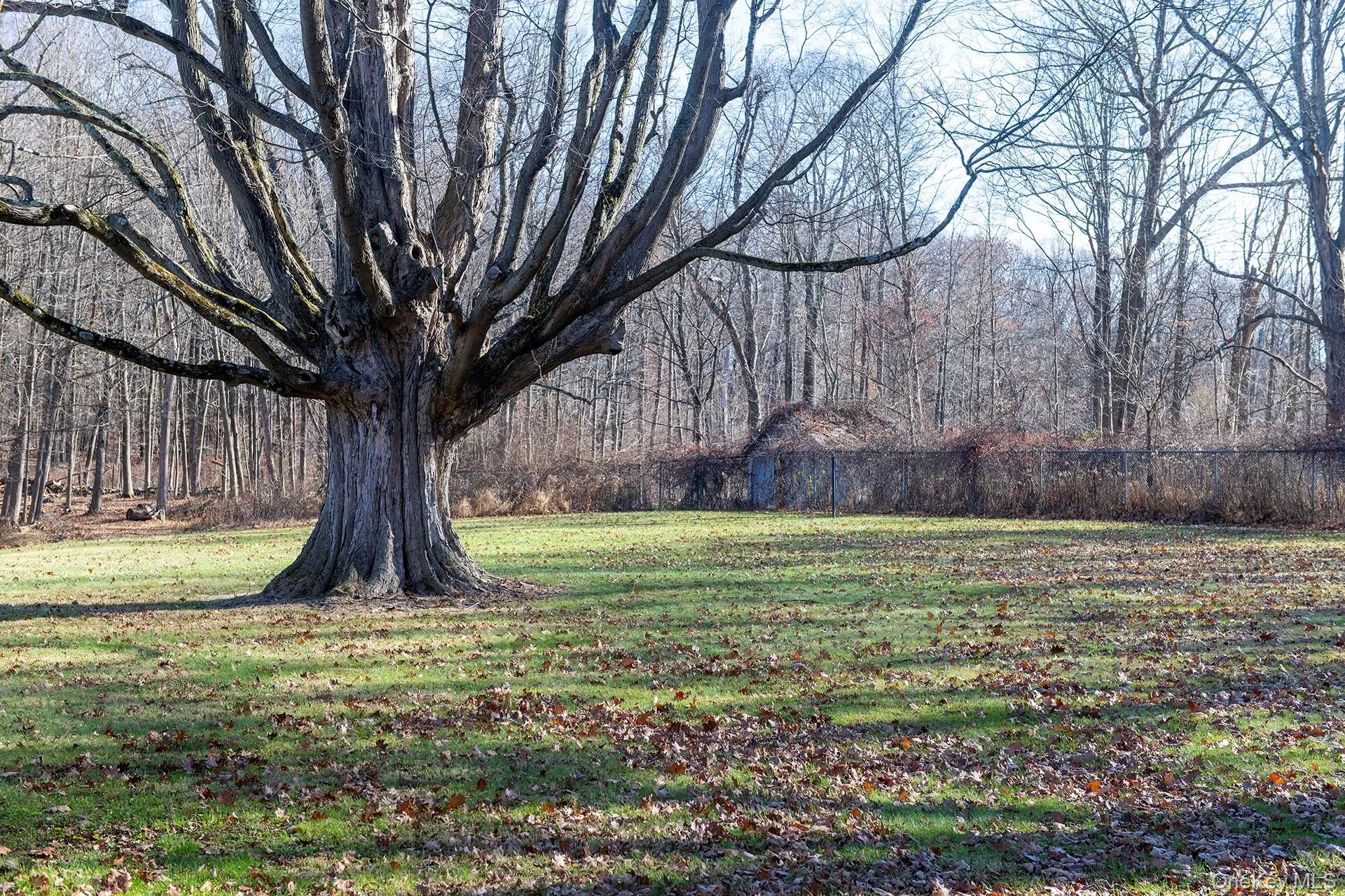 58 On The Green Green, Union Vale, NY, 3 Bedrooms Bedrooms, 6 Rooms Rooms,1 BathroomBathrooms,Residential Lease,Idx,On The Green,0,939049 58 On The Green Green, Union Vale, NY, 3 Bedrooms Bedrooms, 6 Rooms Rooms,1 BathroomBathrooms,Residential Lease,Idx,On The Green,0,939049
