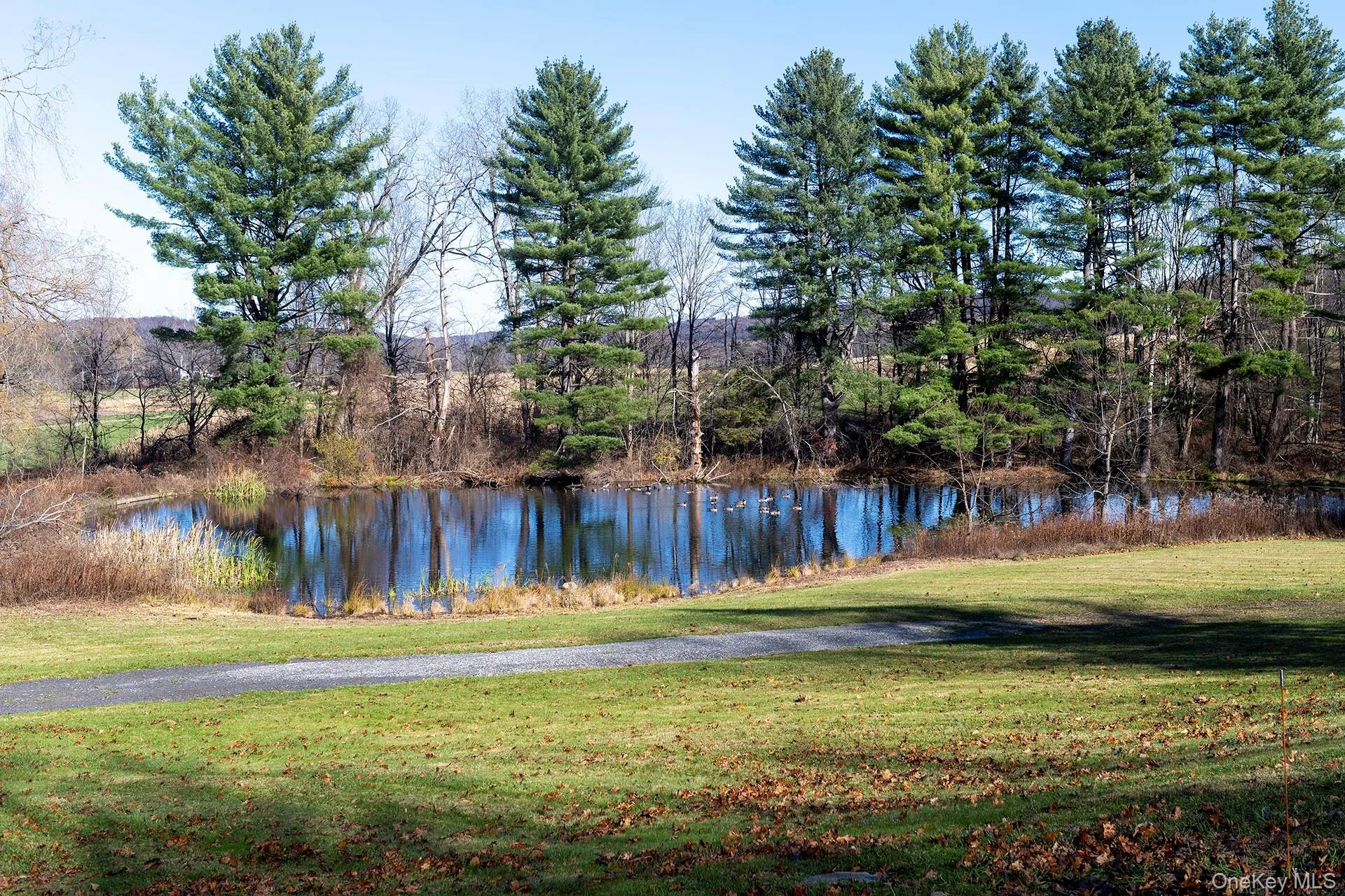 View of the pond View of the pond