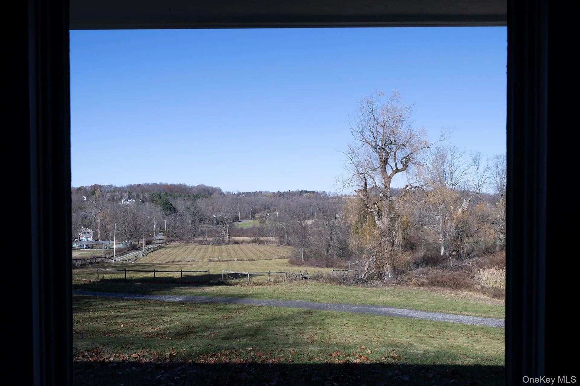 View of grassy yard featuring view of scattered trees View of grassy yard featuring view of scattered trees