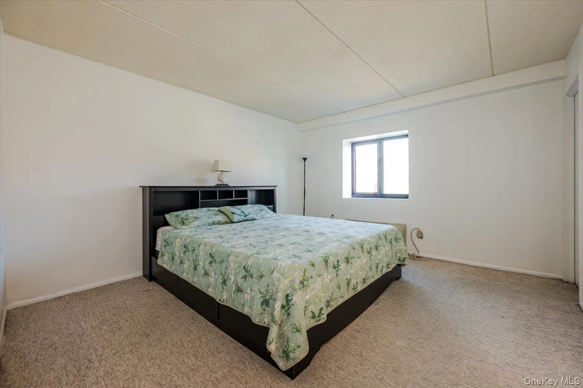 Bedroom featuring carpet and baseboards Bedroom featuring carpet and baseboards