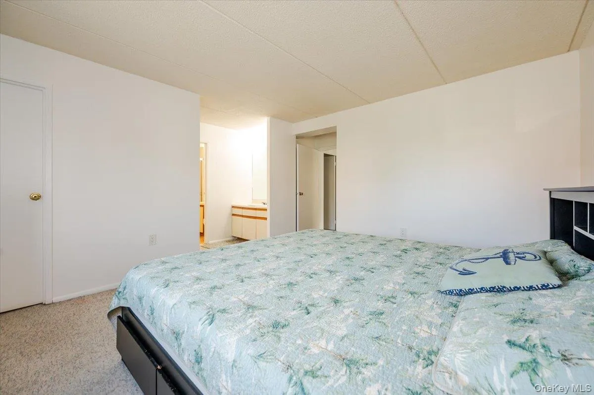 Bedroom with light colored carpet and connected bathroom Bedroom with light colored carpet and connected bathroom