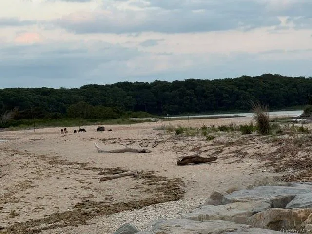 25 Miami Avenue, Southold, NY, 3 Bedrooms Bedrooms, 8 Rooms Rooms,2 BathroomsBathrooms,Residential Lease,For Rent,Miami,0,939102 25 Miami Avenue, Southold, NY, 3 Bedrooms Bedrooms, 8 Rooms Rooms,2 BathroomsBathrooms,Residential Lease,For Rent,Miami,0,939102