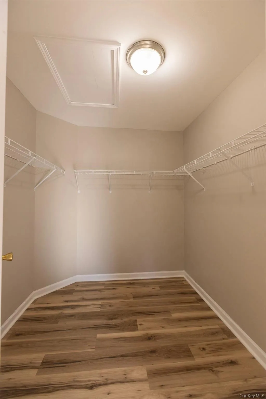 Spacious closet featuring light wood-type flooring Spacious closet featuring light wood-type flooring
