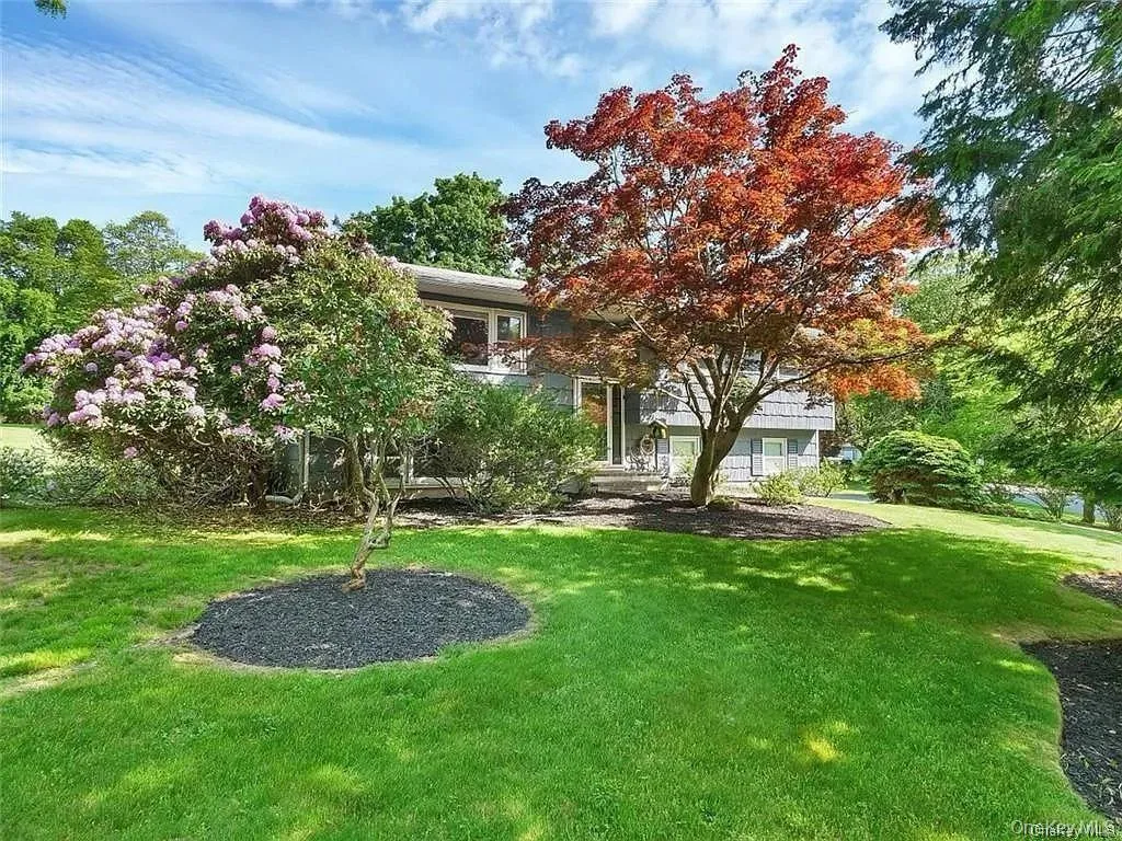 View of yard View of yard