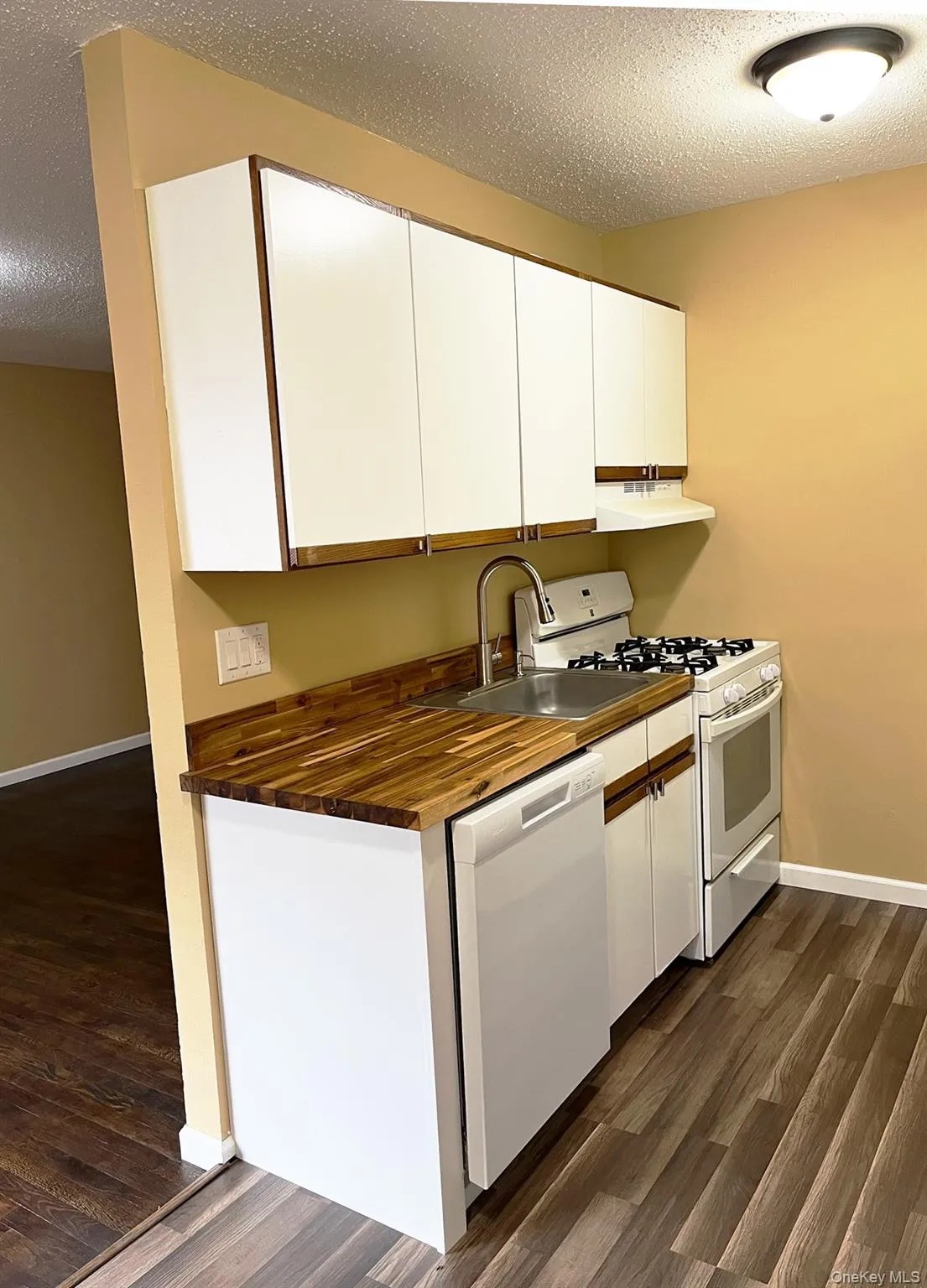 The dishwasher and oven are newer. The dishwasher and oven are newer.