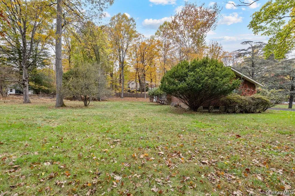 View of green lawn featuring view of wooded area View of green lawn featuring view of wooded area