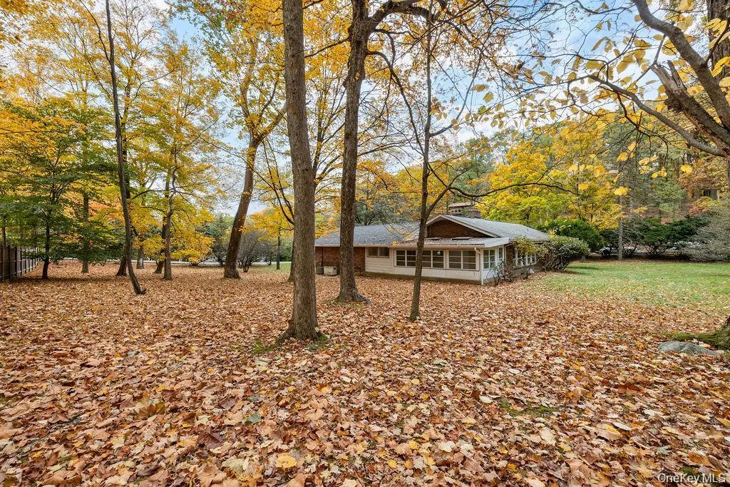 View of yard View of yard