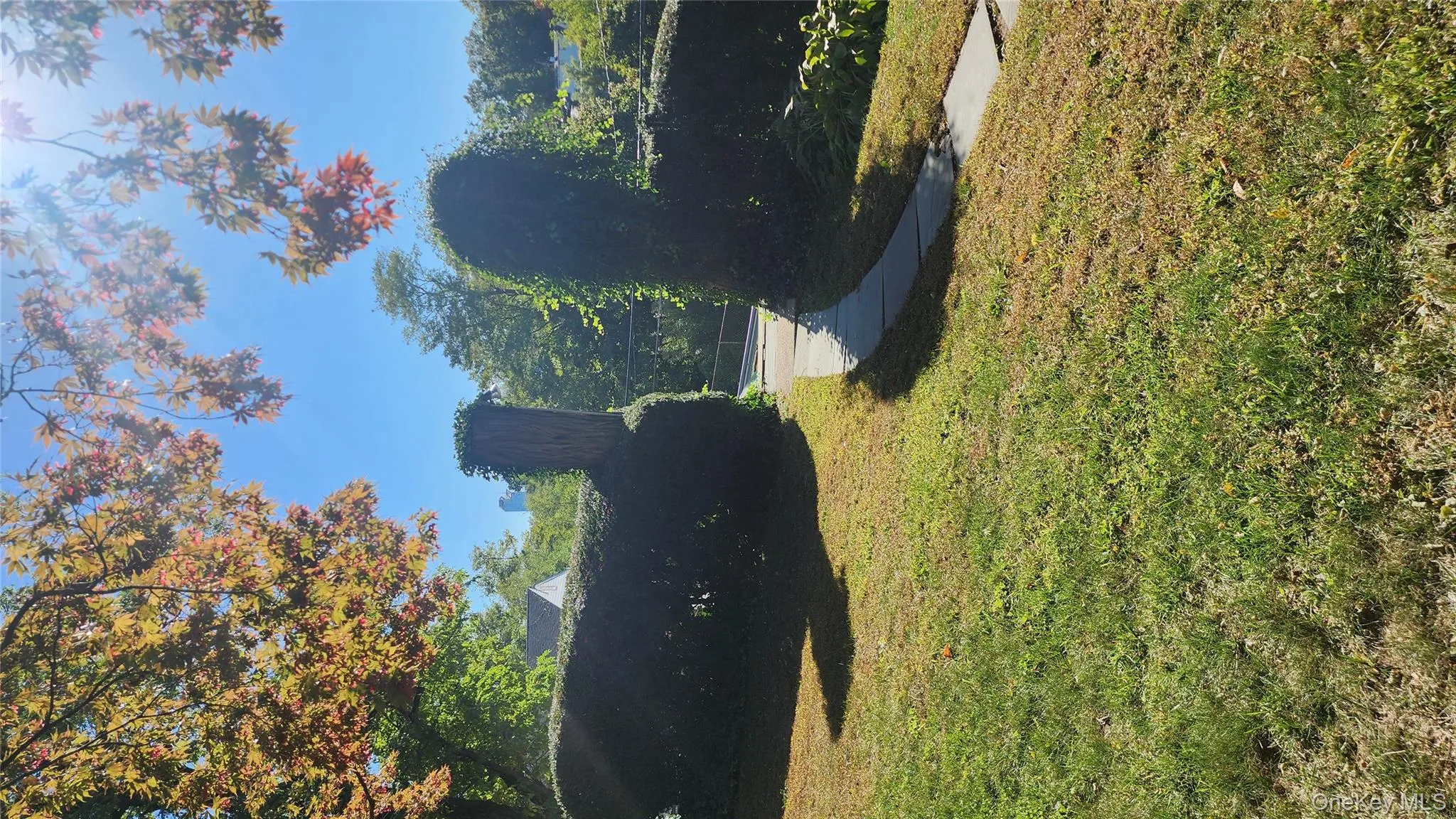 View of grassy yard View of grassy yard