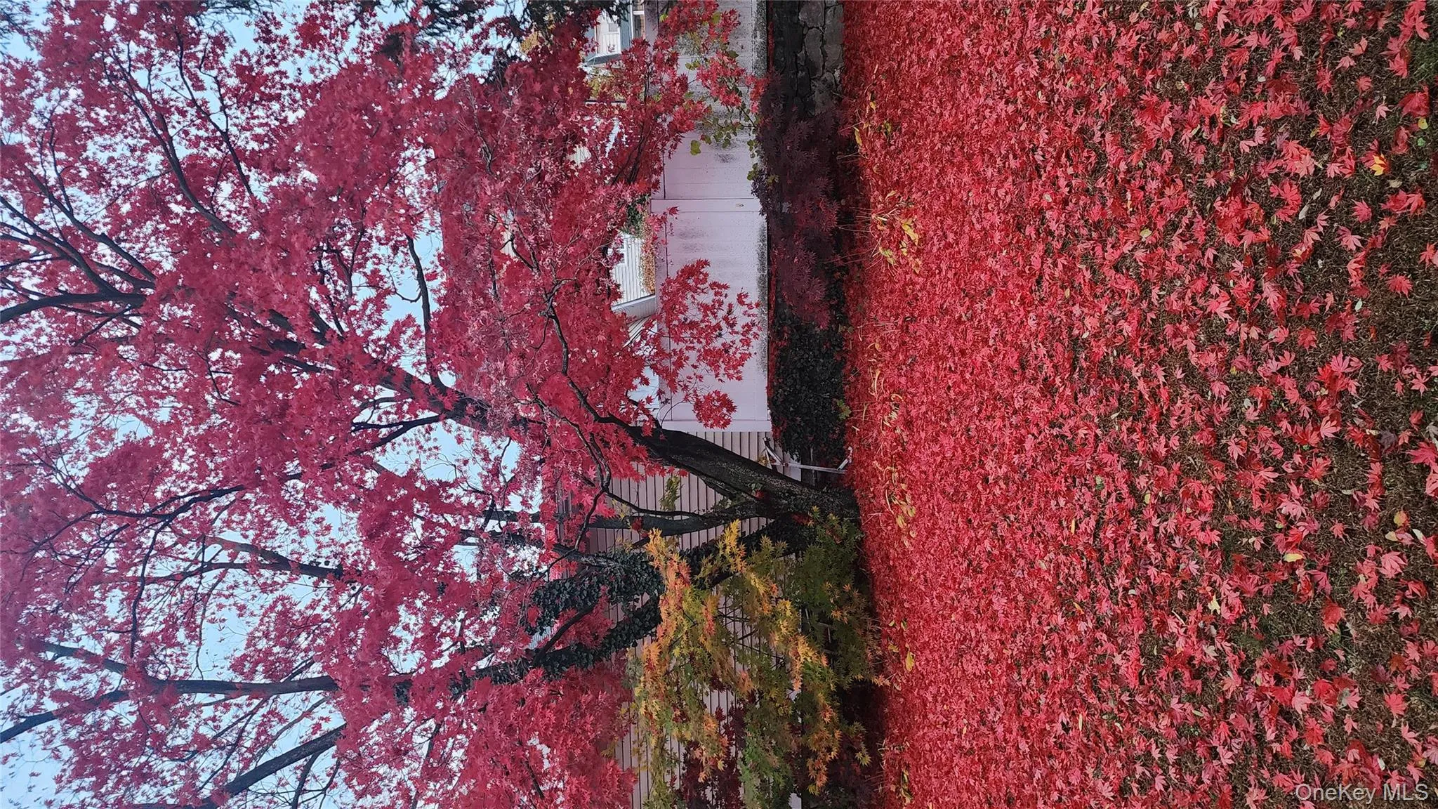 22 Beach Street, White Plains, NY, 2 Bedrooms Bedrooms, 5 Rooms Rooms,1 BathroomBathrooms,Residential Lease,Idx,Beach,0,939355 22 Beach Street, White Plains, NY, 2 Bedrooms Bedrooms, 5 Rooms Rooms,1 BathroomBathrooms,Residential Lease,Idx,Beach,0,939355