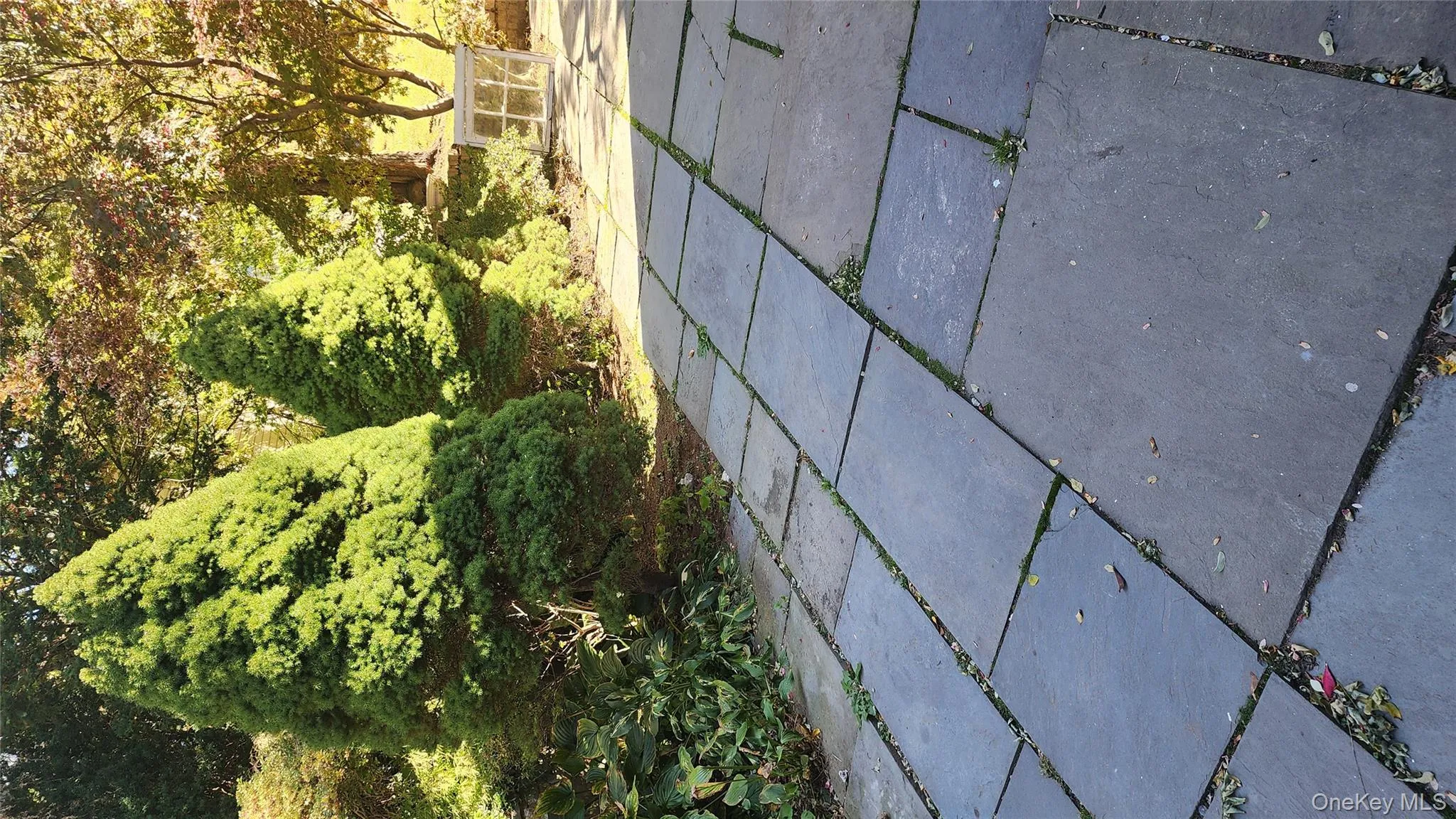 View of swimming pool View of swimming pool