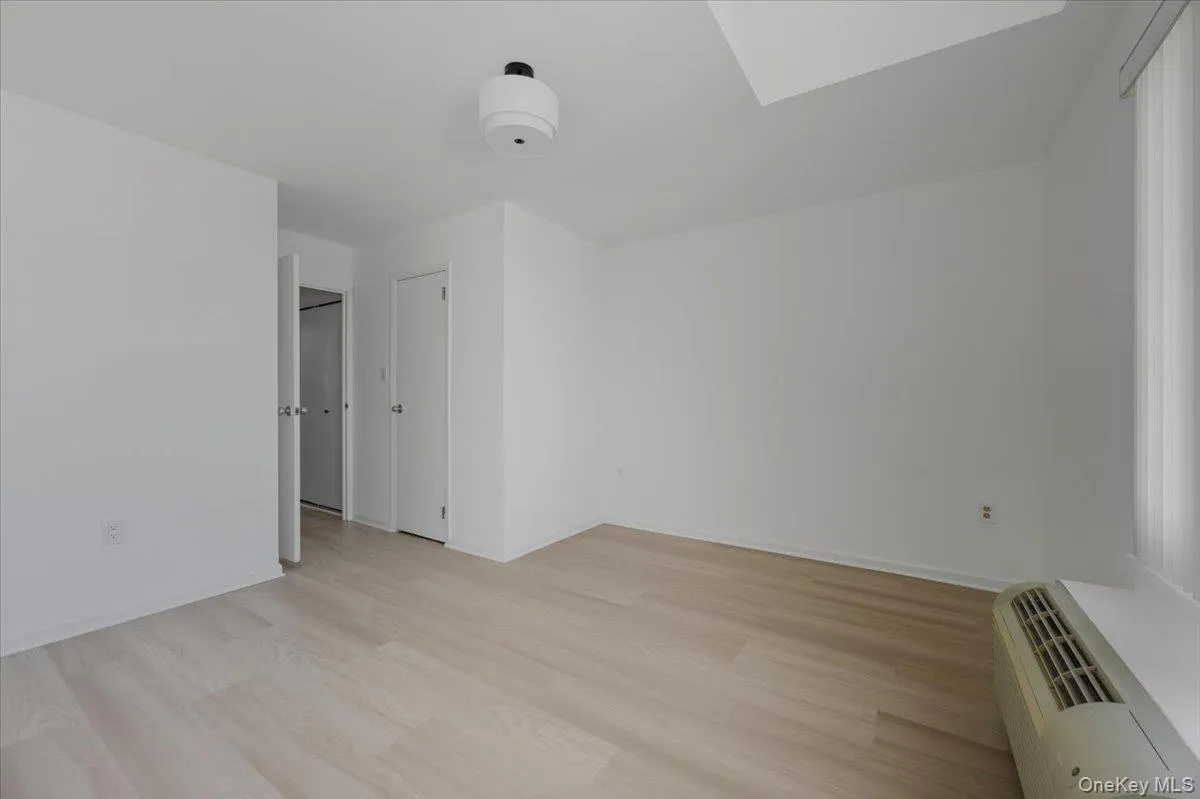 Spare room with a skylight, light wood finished floors, and a wall mounted AC Spare room with a skylight, light wood finished floors, and a wall mounted AC