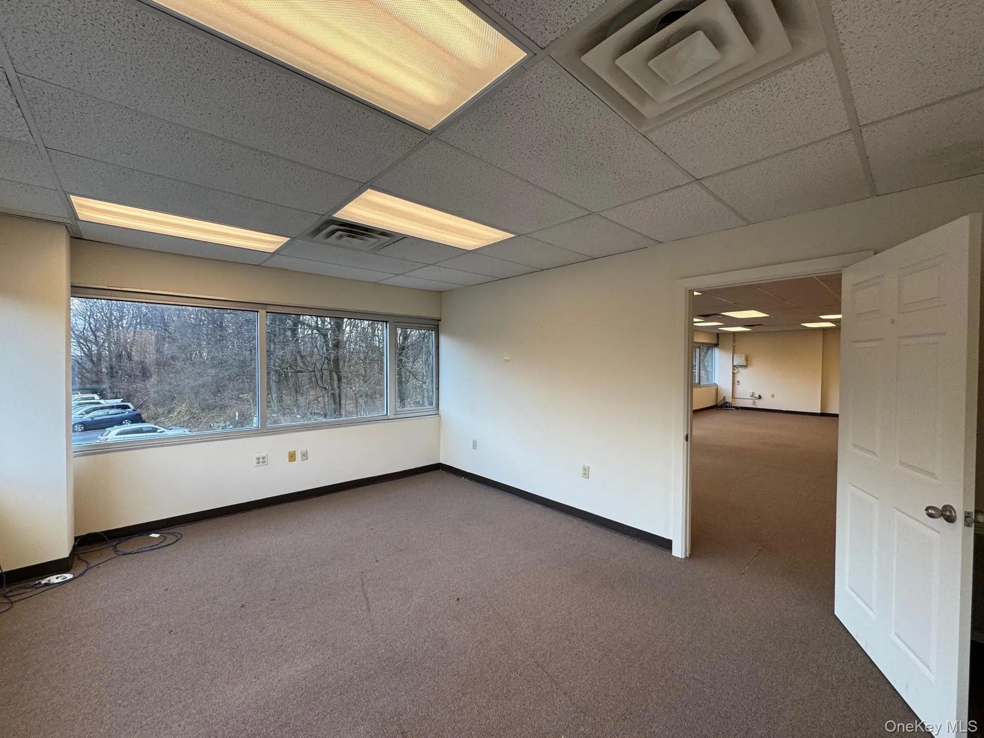 Carpeted spare room featuring a paneled ceiling and baseboards Carpeted spare room featuring a paneled ceiling and baseboards