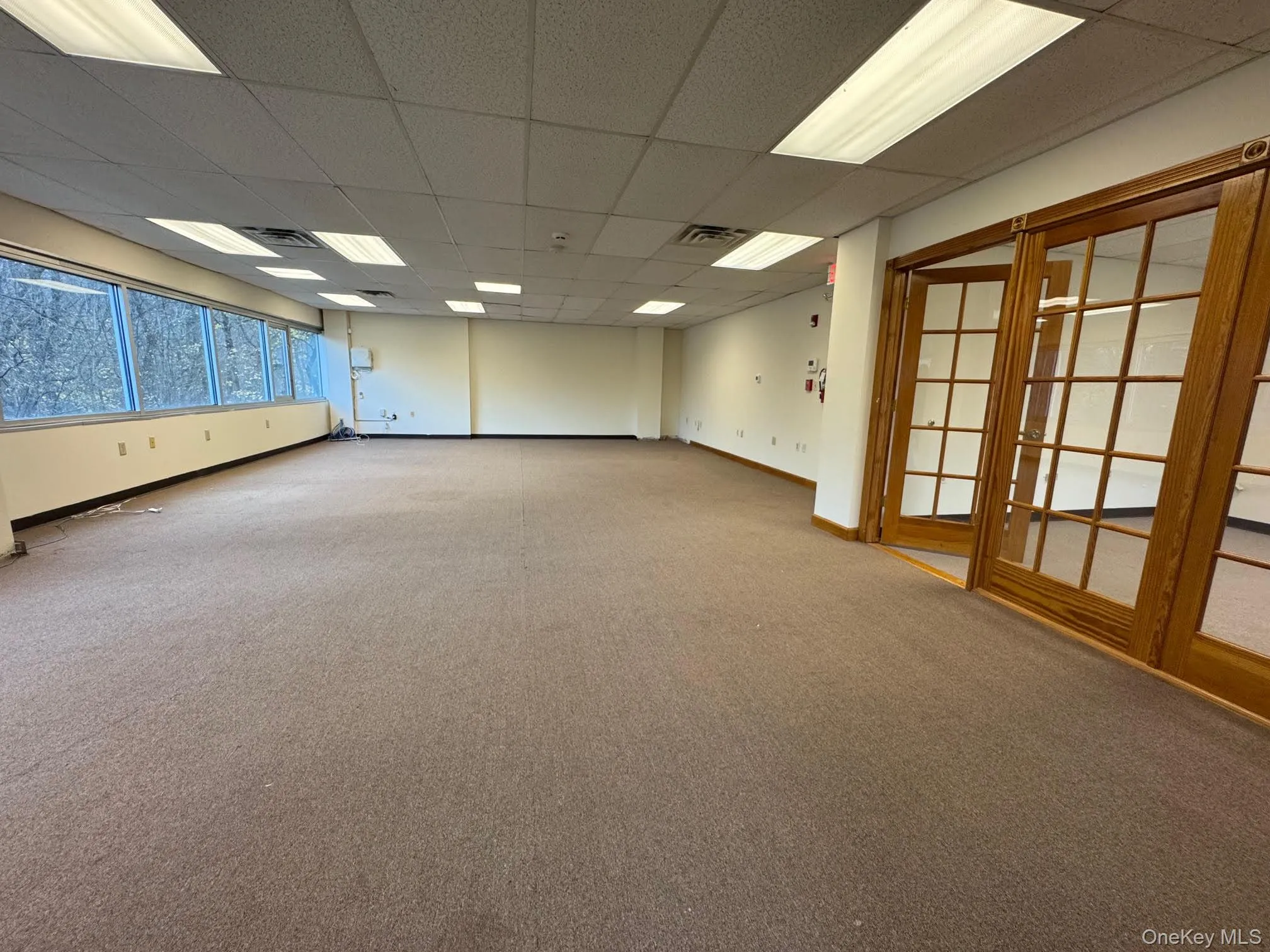 Carpeted spare room with a drop ceiling and baseboards Carpeted spare room with a drop ceiling and baseboards