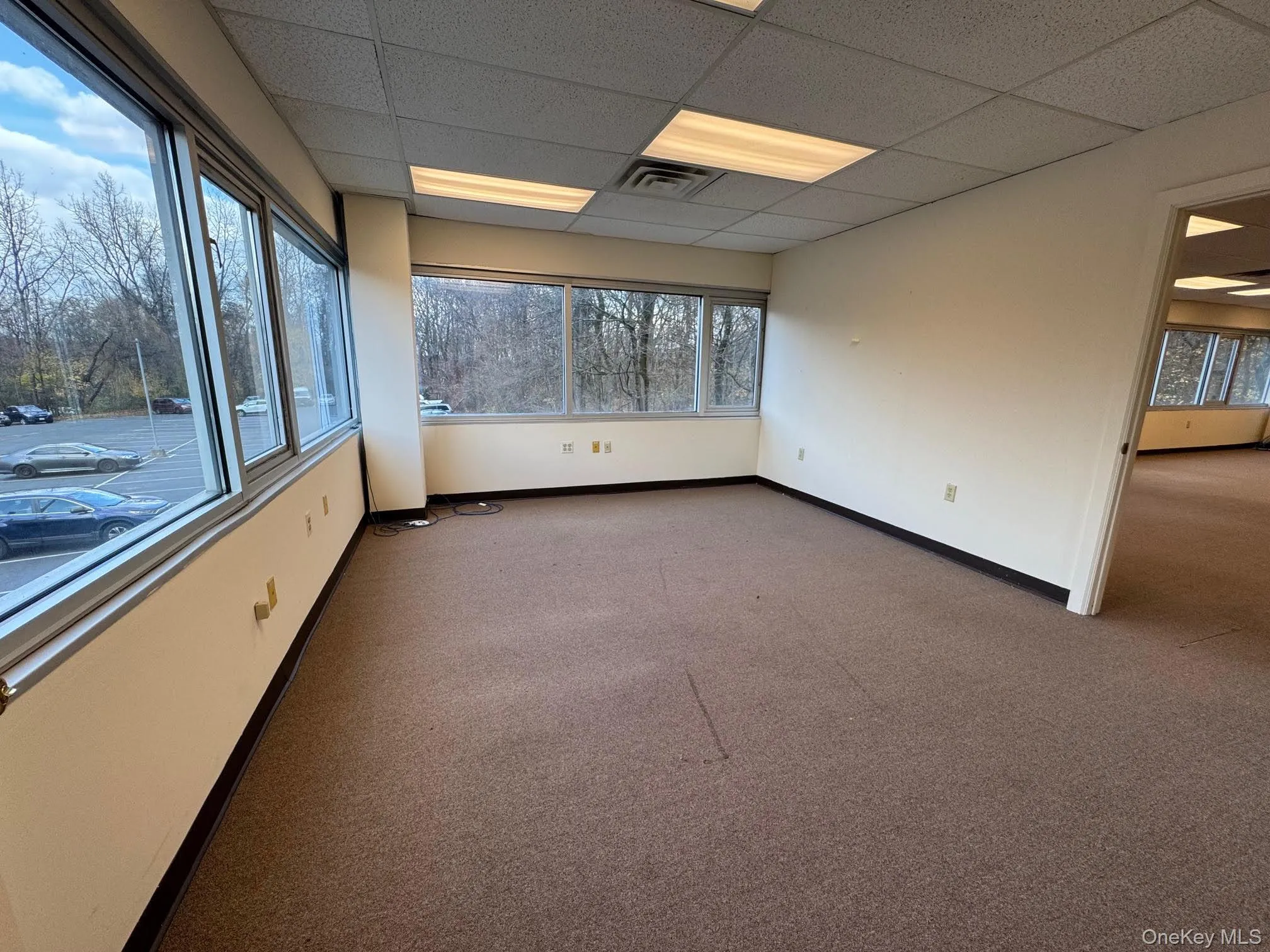 Spare room with carpet, a paneled ceiling, and plenty of natural light Spare room with carpet, a paneled ceiling, and plenty of natural light