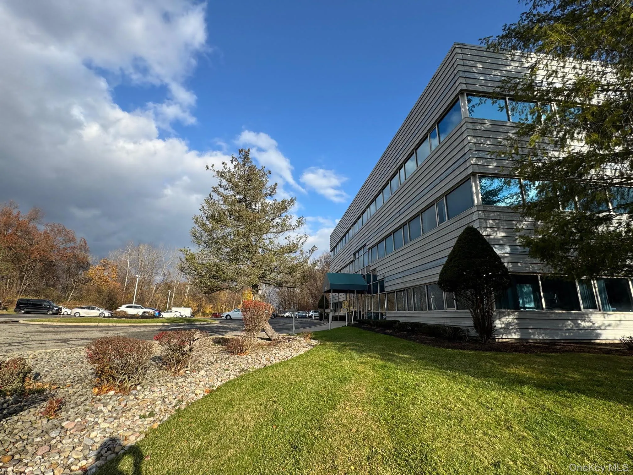 View of green lawn View of green lawn