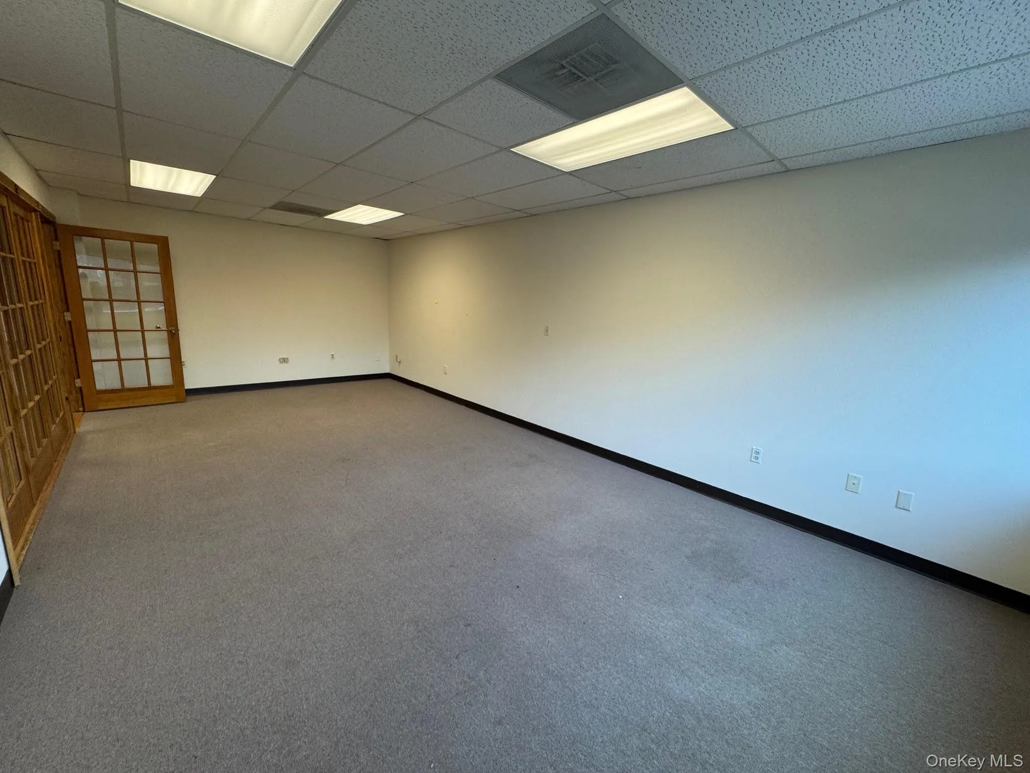 Carpeted spare room featuring baseboards and a paneled ceiling Carpeted spare room featuring baseboards and a paneled ceiling