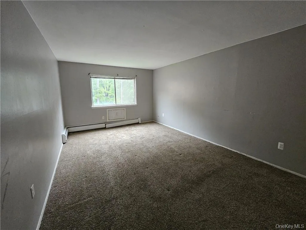 Unfurnished room featuring carpet and baseboard heating Unfurnished room featuring carpet and baseboard heating
