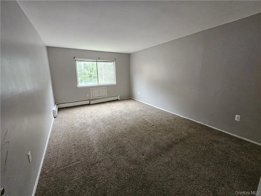 Spare room featuring carpet and baseboard heating Spare room featuring carpet and baseboard heating