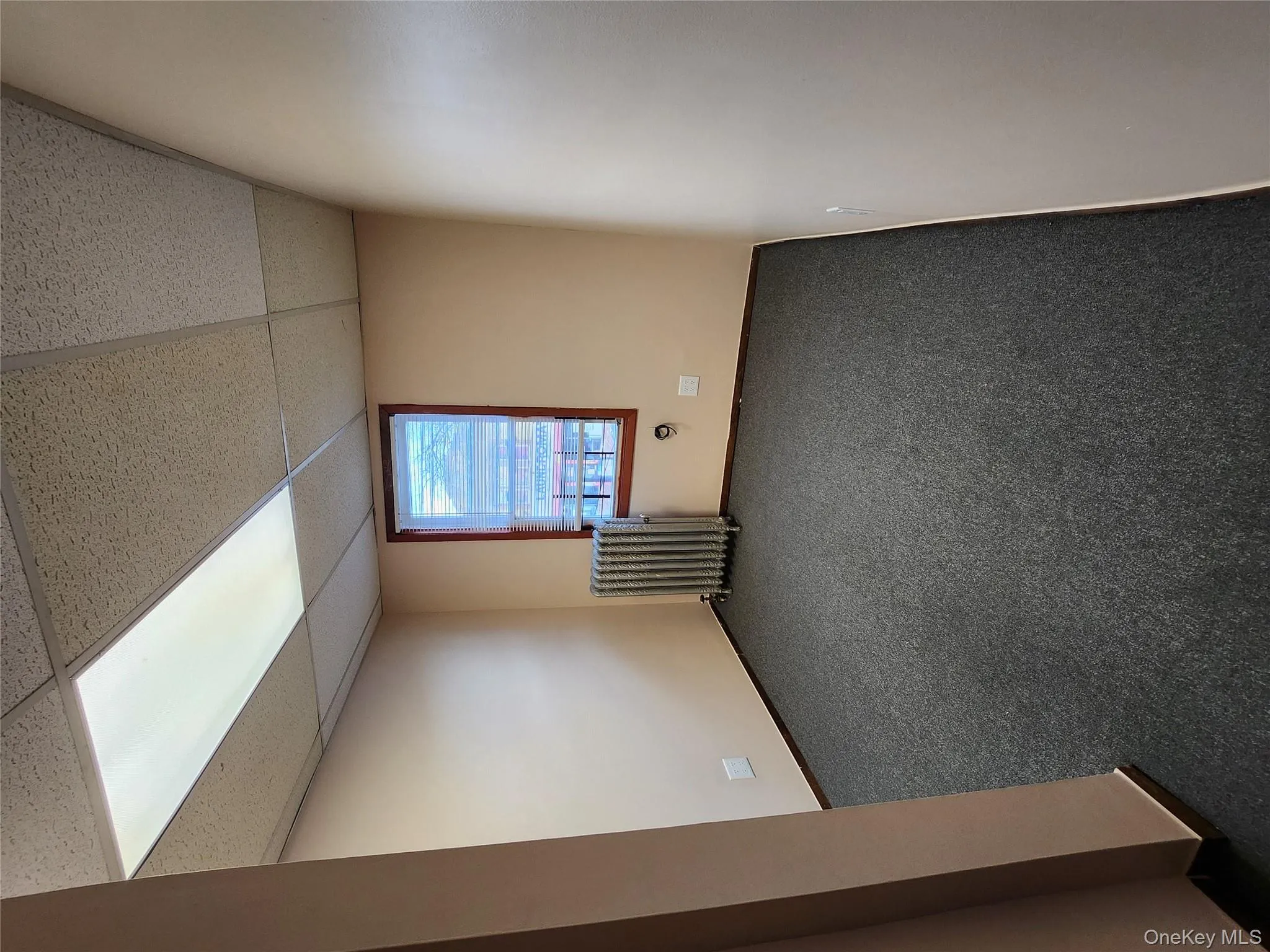 Carpeted empty room with a drop ceiling and radiator Carpeted empty room with a drop ceiling and radiator