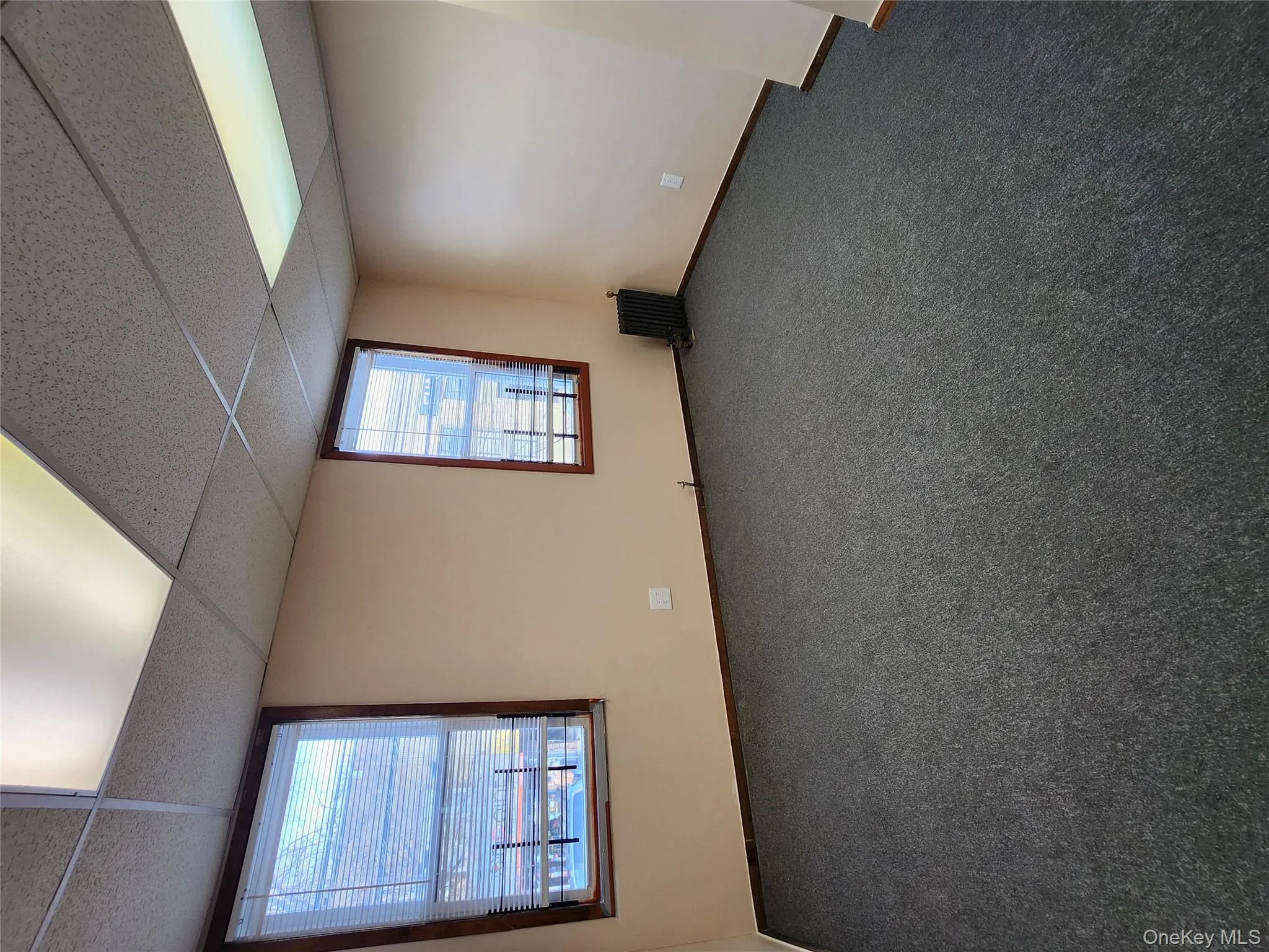 Carpeted empty room featuring a drop ceiling and radiator heating unit Carpeted empty room featuring a drop ceiling and radiator heating unit