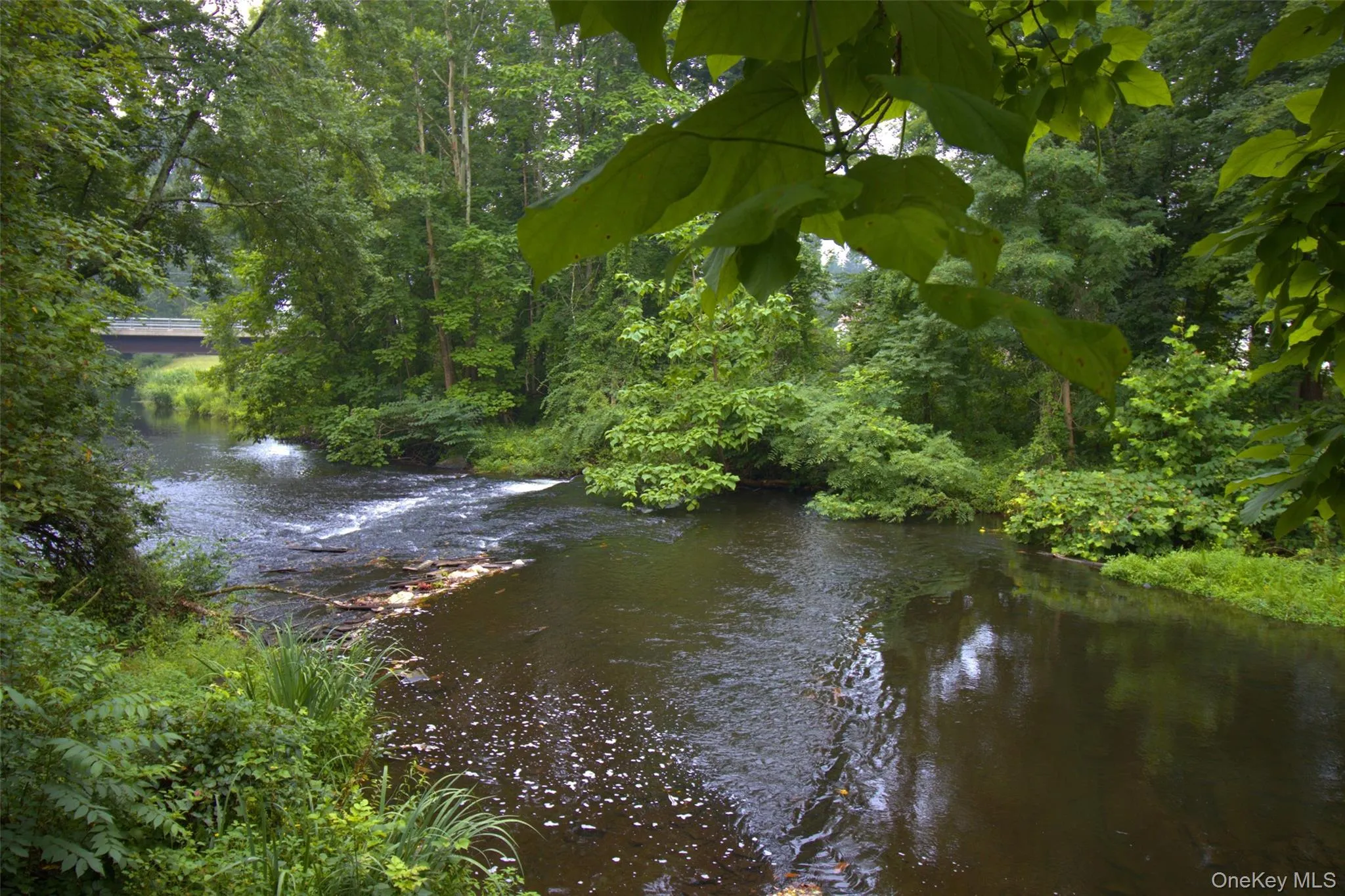 Water view featuring a heavily wooded area Water view featuring a heavily wooded area