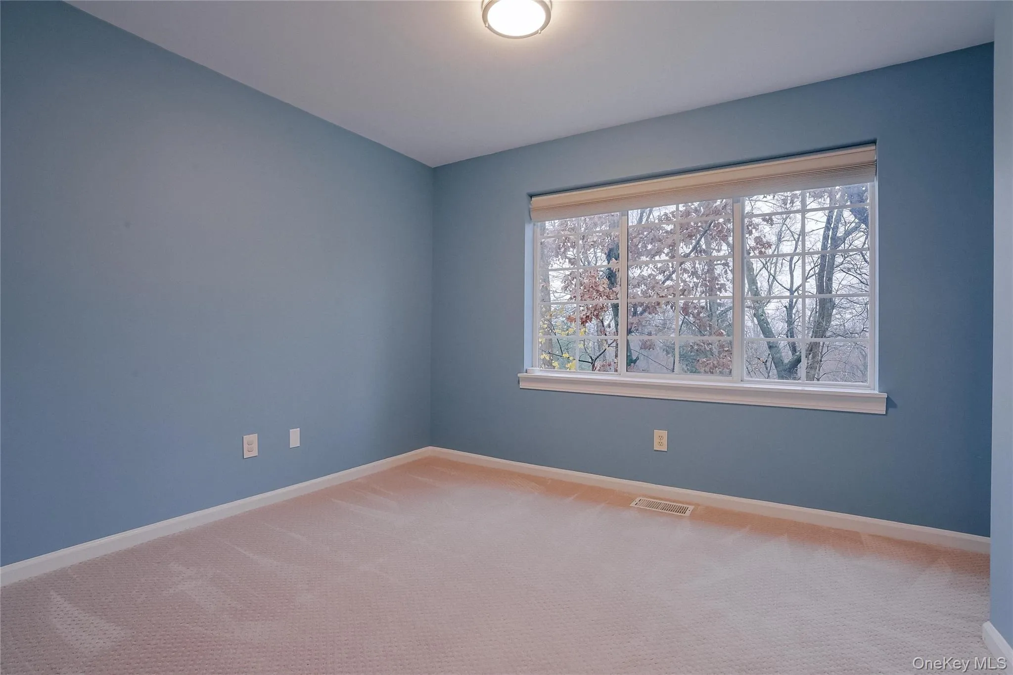 Large spacious bedroom with baseboards and carpet flooring Large spacious bedroom with baseboards and carpet flooring