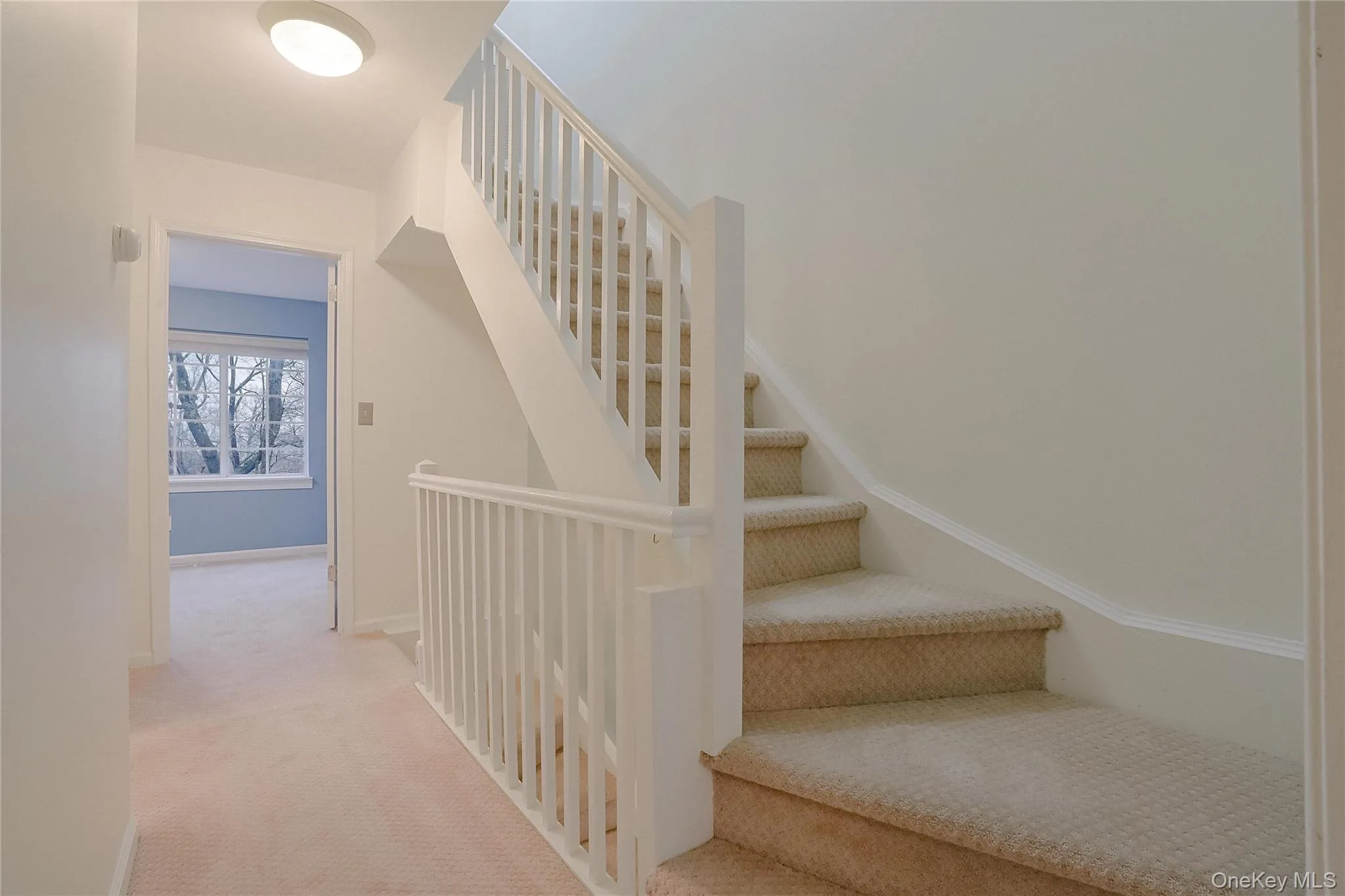 Staircase featuring carpet and baseboards Staircase featuring carpet and baseboards