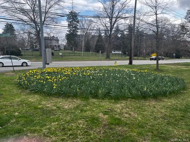 Watch for the daffadils this spring on the corner of Park and N Broadway in front of building 1 Watch for the daffadils this spring on the corner of Park and N Broadway in front of building 1