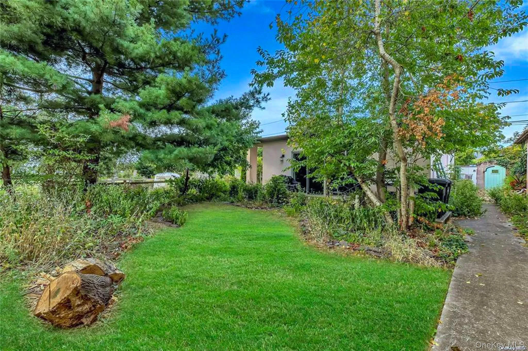 View of grassy yard View of grassy yard