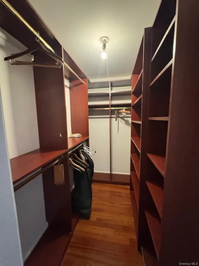 Three Spacious walk in closets with dark wood-style flooring Three Spacious walk in closets with dark wood-style flooring