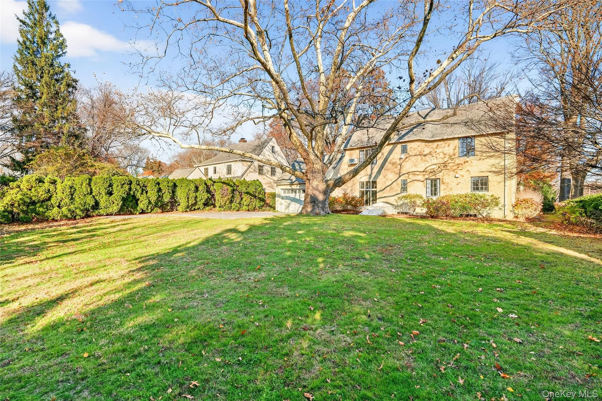 View of green lawn View of green lawn