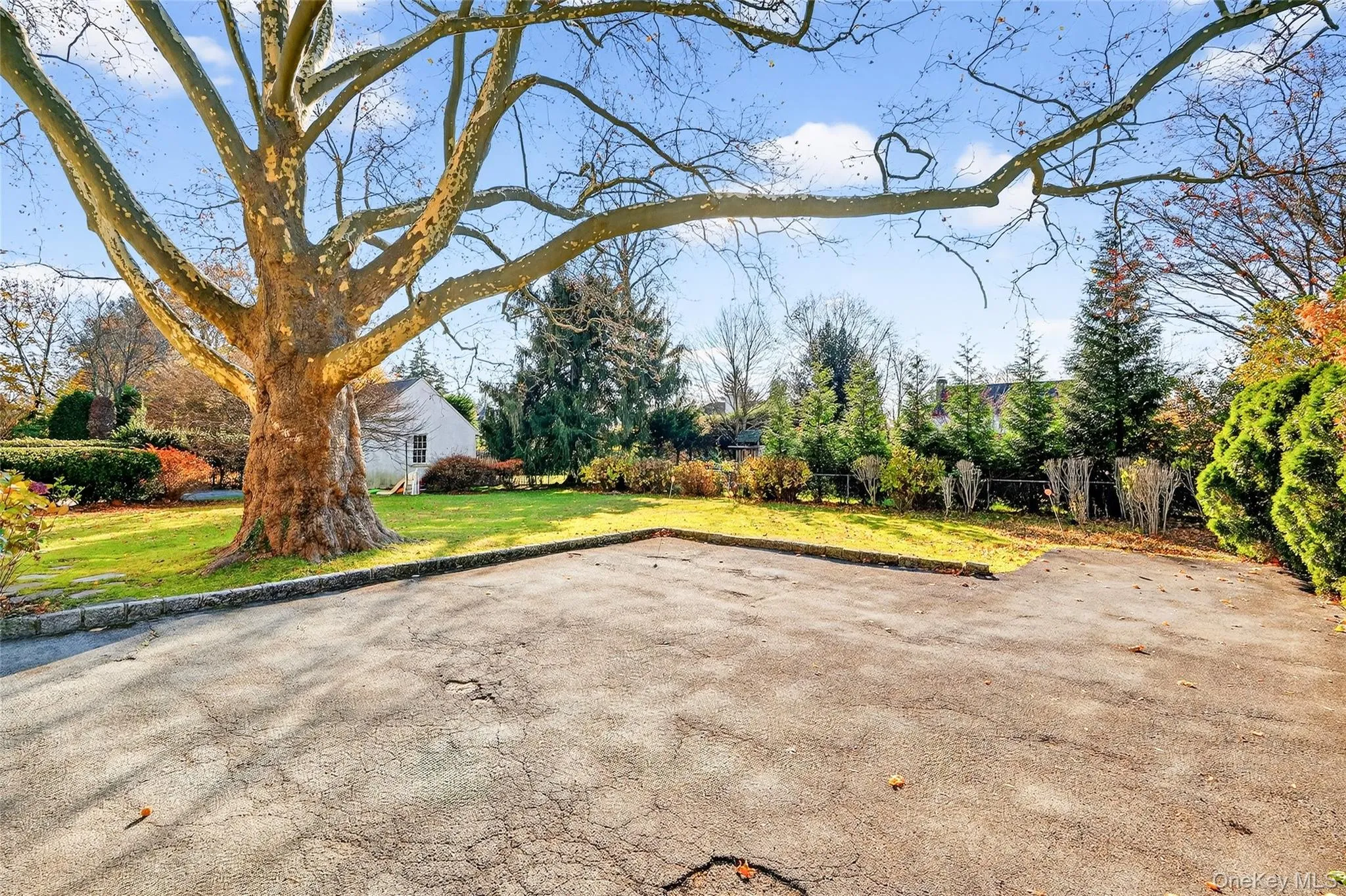 View of yard View of yard