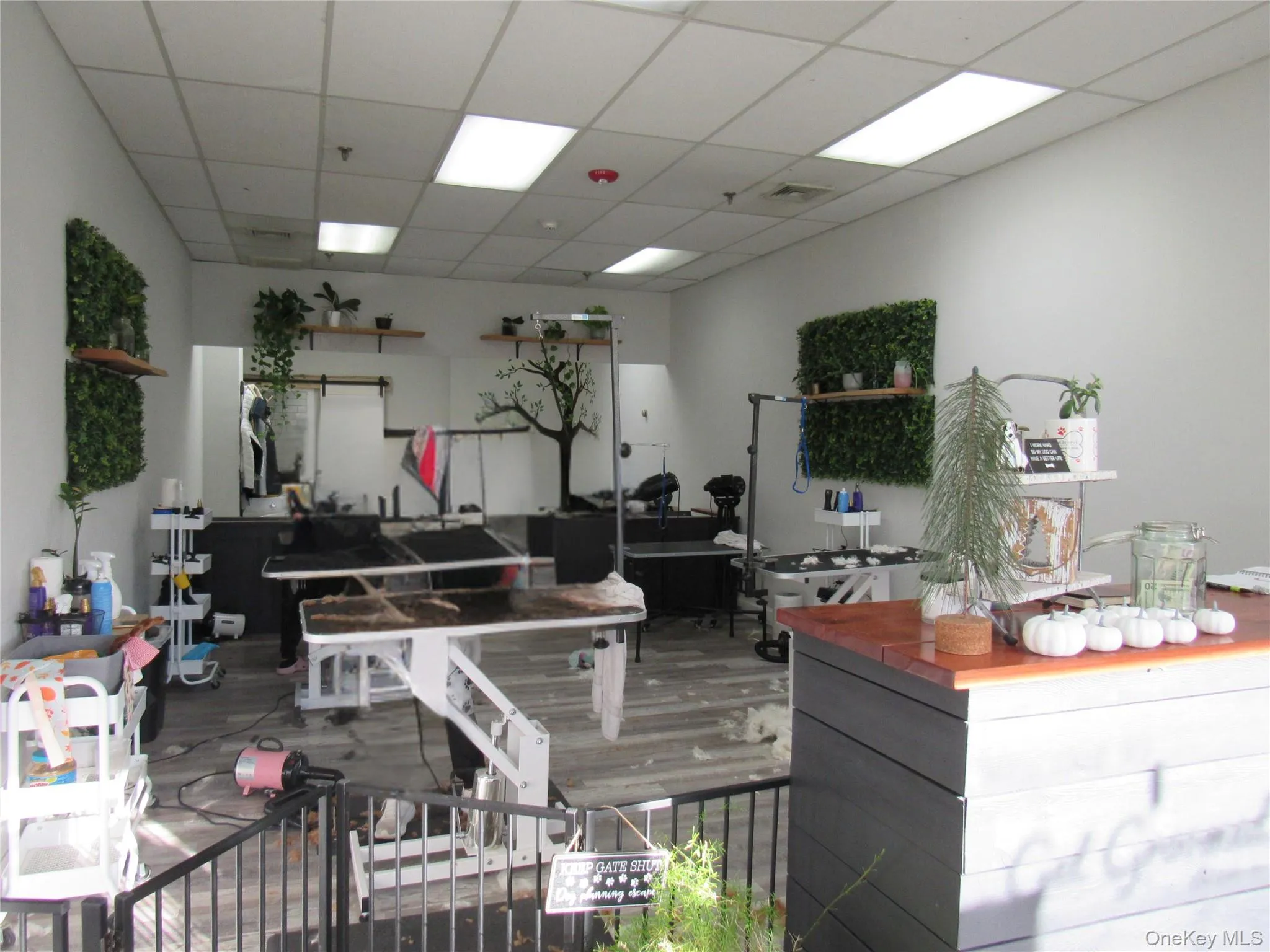 Miscellaneous room featuring a paneled ceiling Miscellaneous room featuring a paneled ceiling