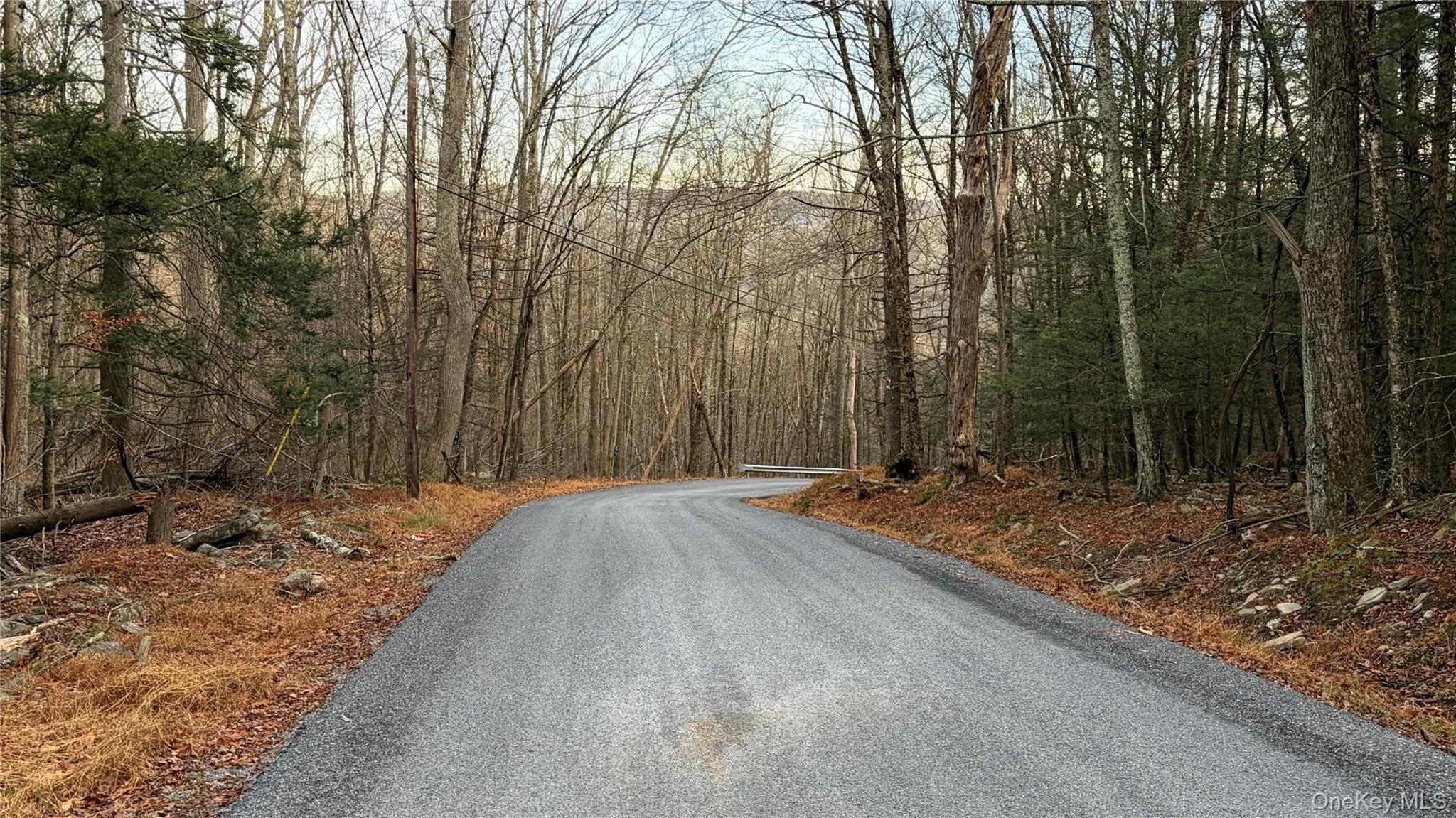 View of asphalt road with a forest view View of asphalt road with a forest view