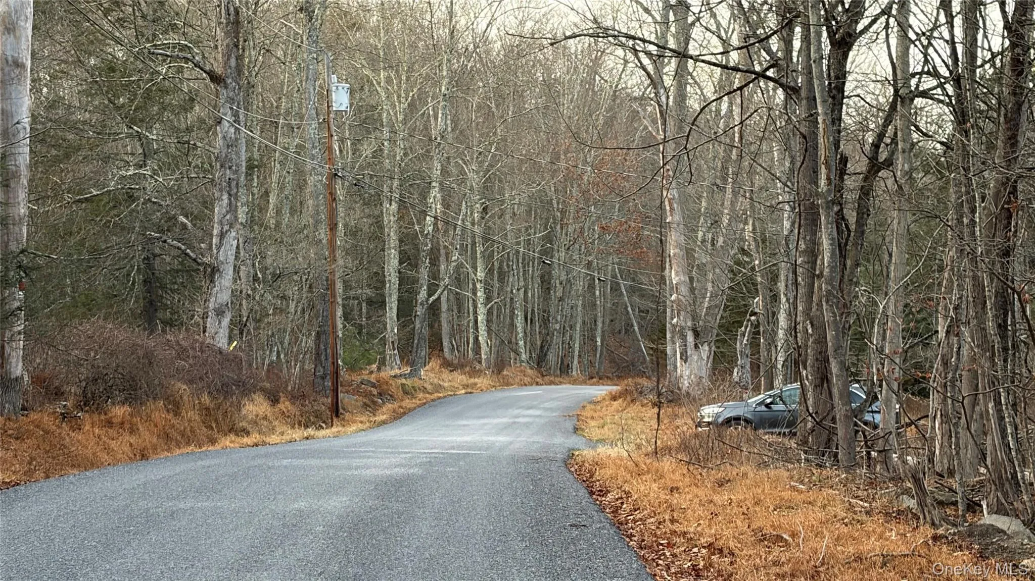 View of asphalt street with a view of trees View of asphalt street with a view of trees