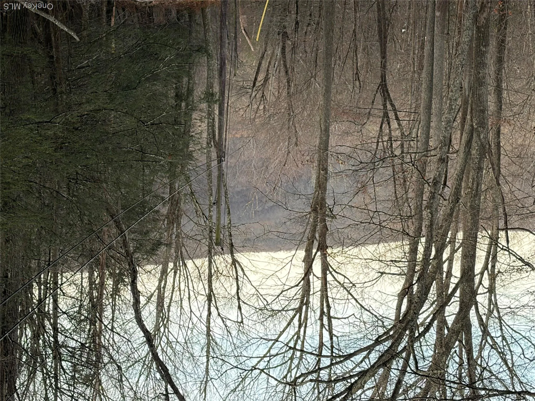 Water view with a heavily wooded area Water view with a heavily wooded area