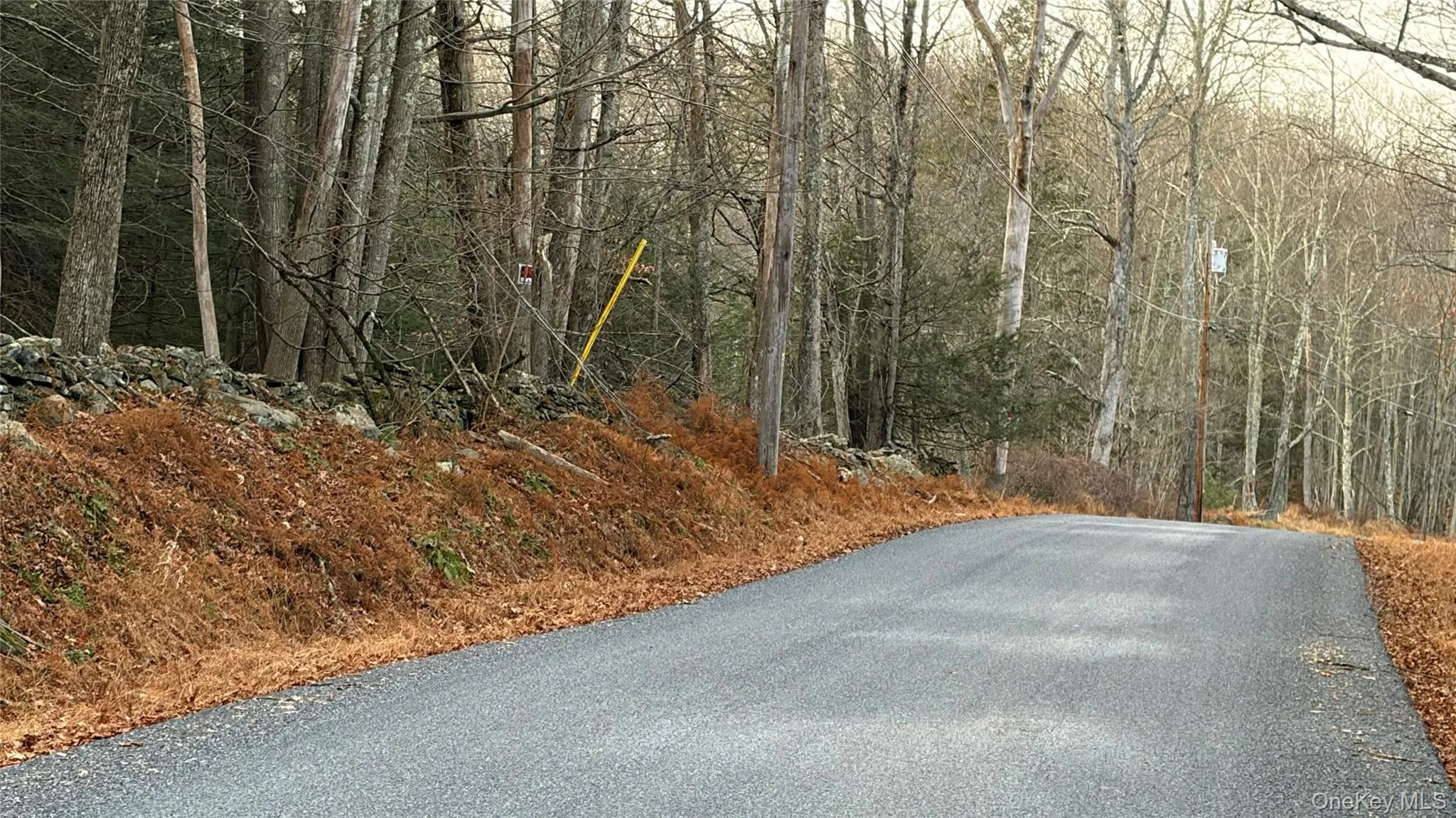 View of asphalt road featuring a view of trees View of asphalt road featuring a view of trees