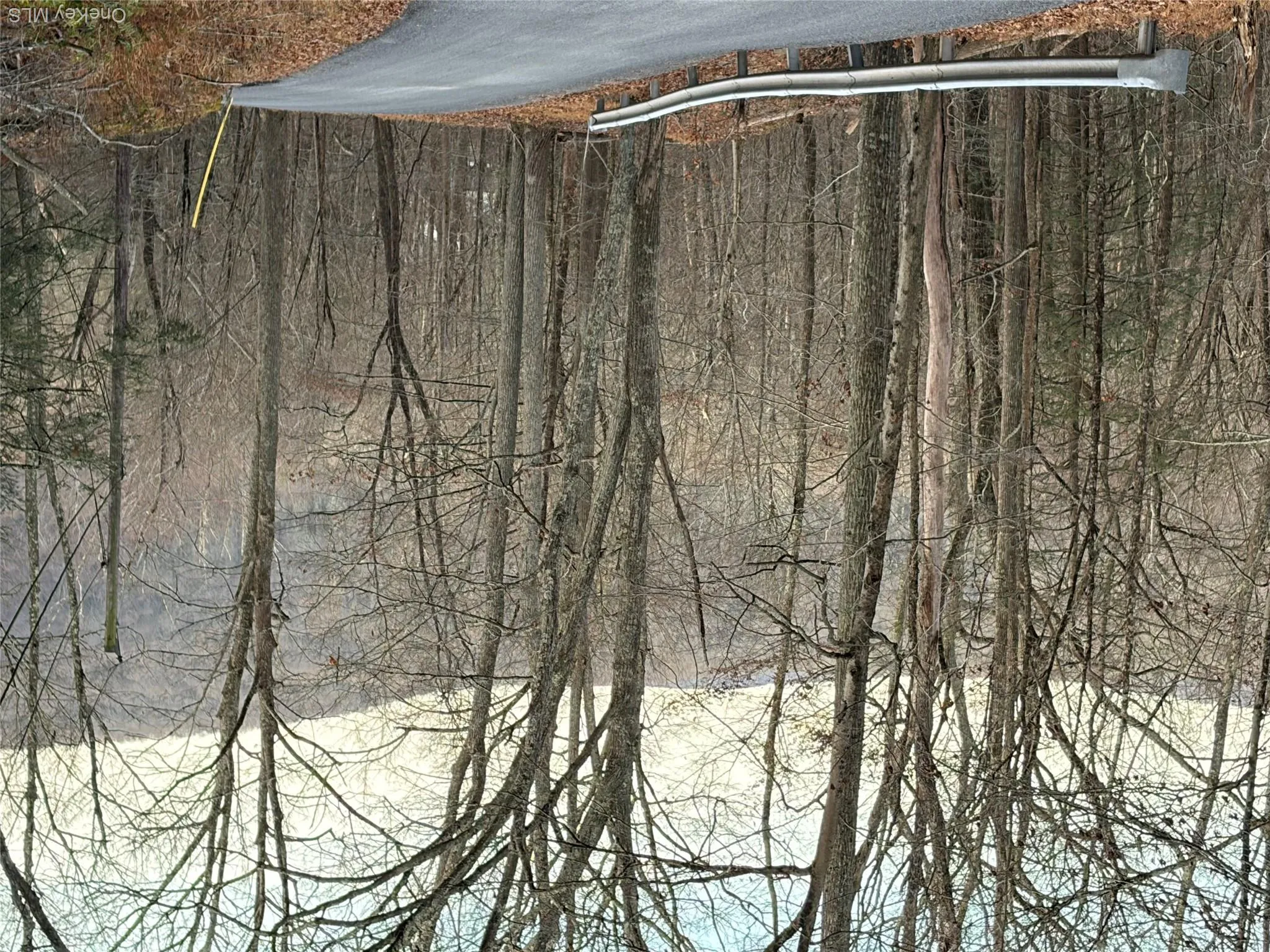 View of asphalt road with a forest view View of asphalt road with a forest view