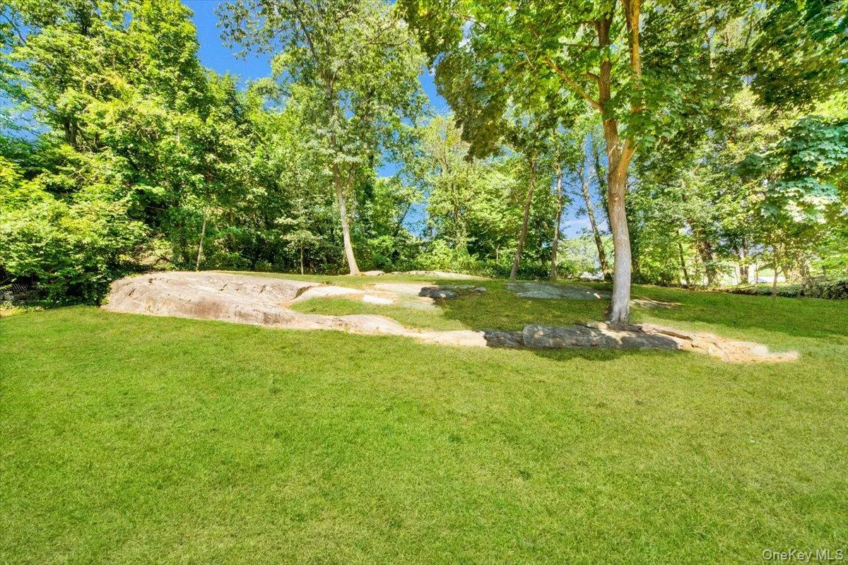 View of grassy yard View of grassy yard