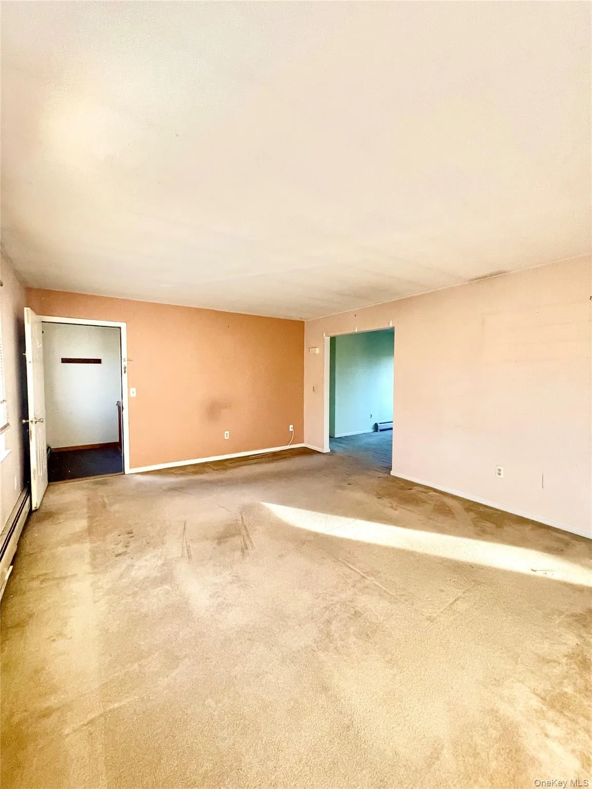 Spare room with light carpet and a baseboard radiator Spare room with light carpet and a baseboard radiator