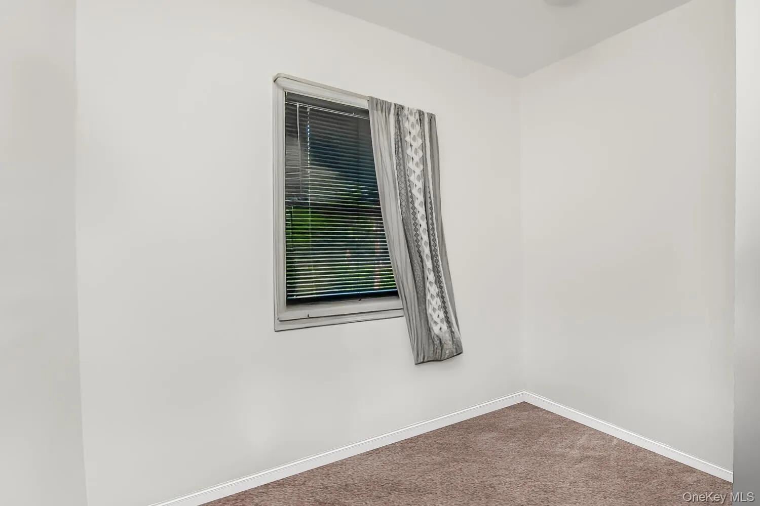 Carpeted empty room featuring baseboards Carpeted empty room featuring baseboards