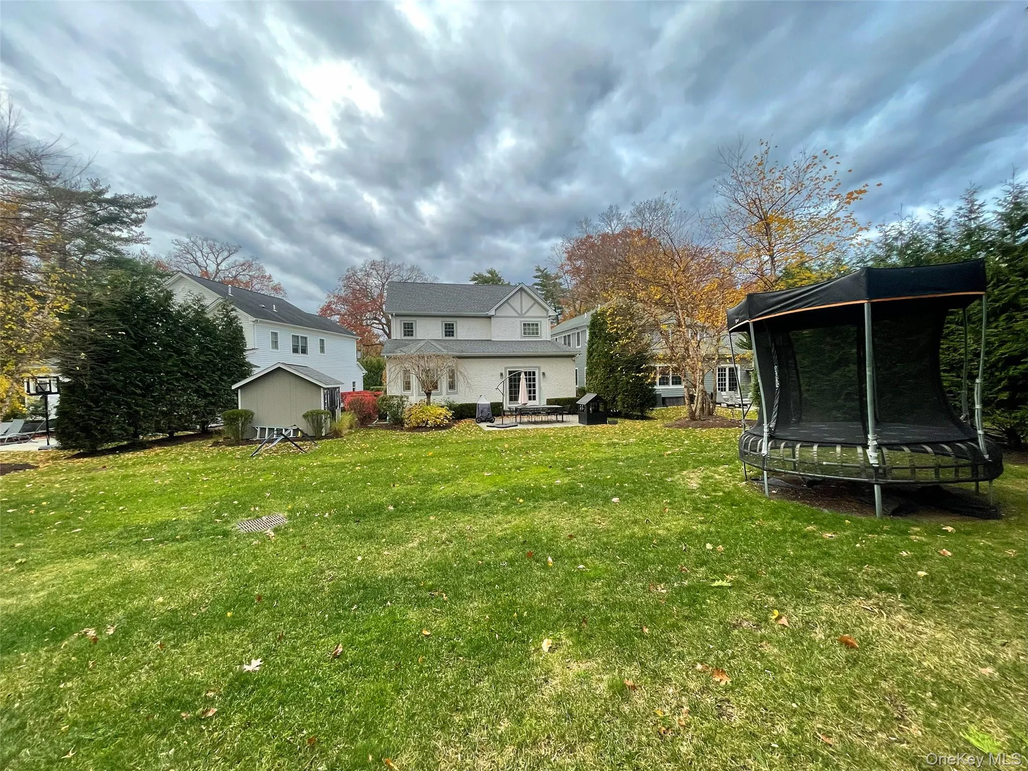 View of grassy yard View of grassy yard