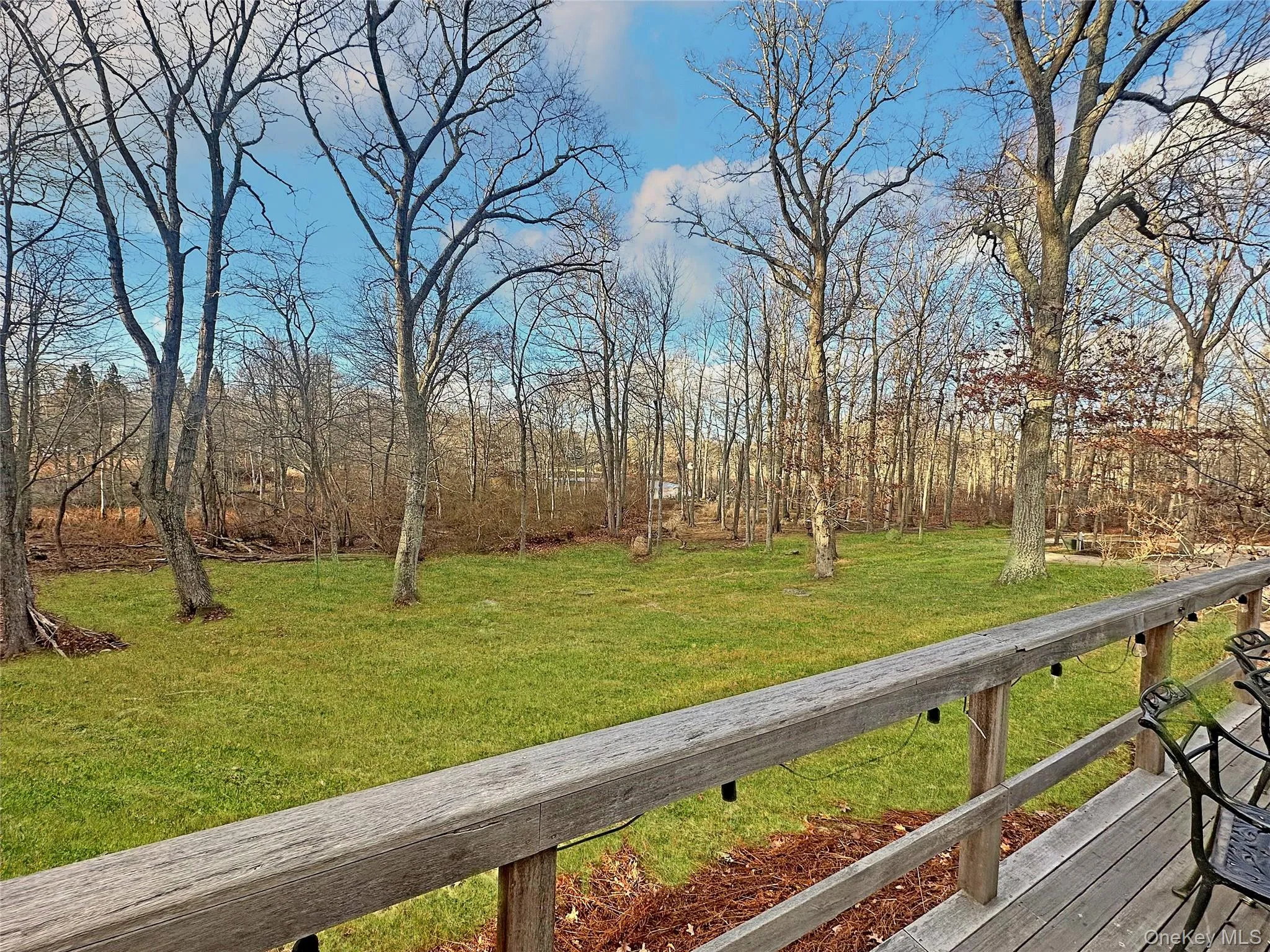 View of green lawn View of green lawn