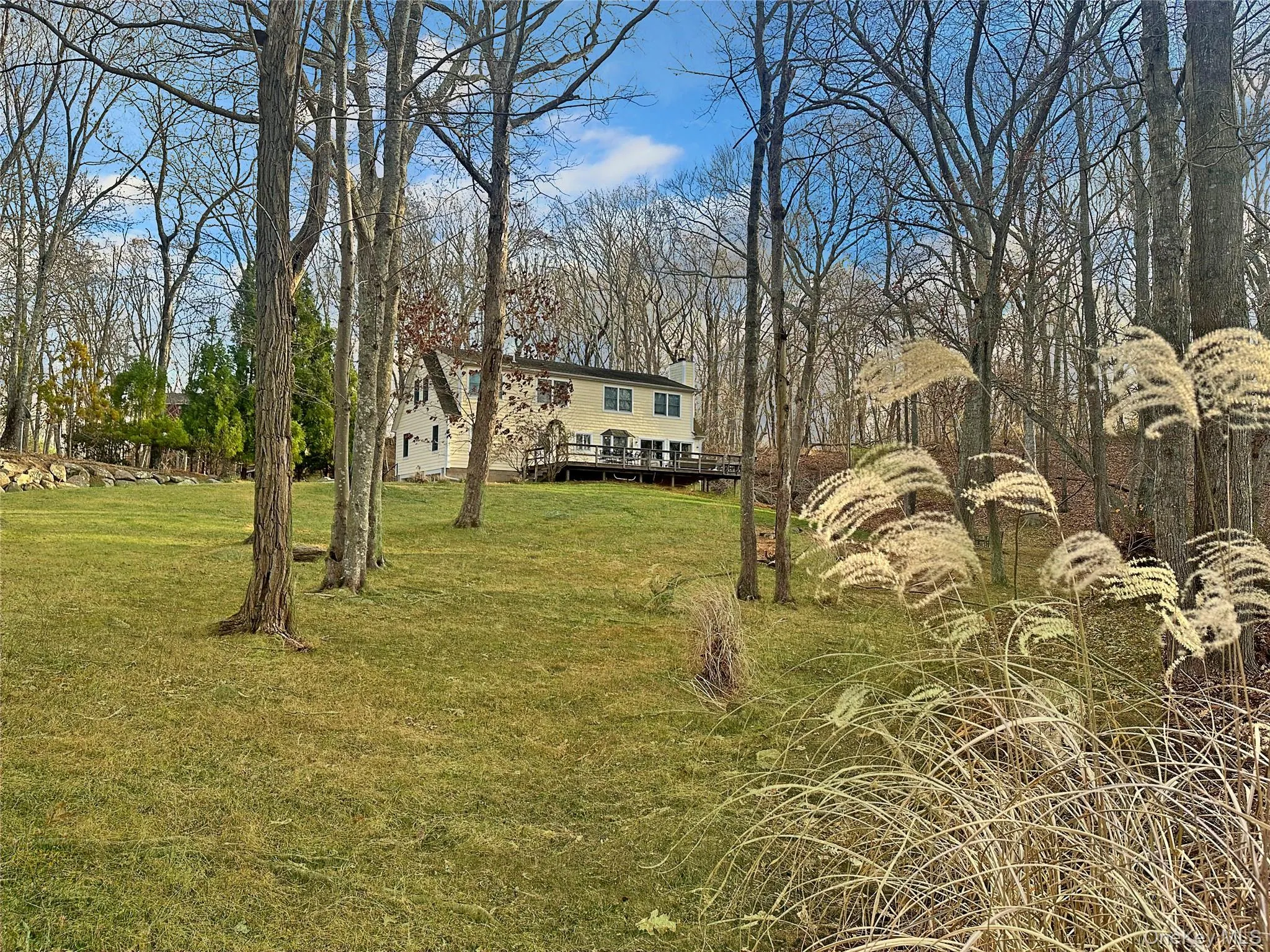 View of green lawn View of green lawn