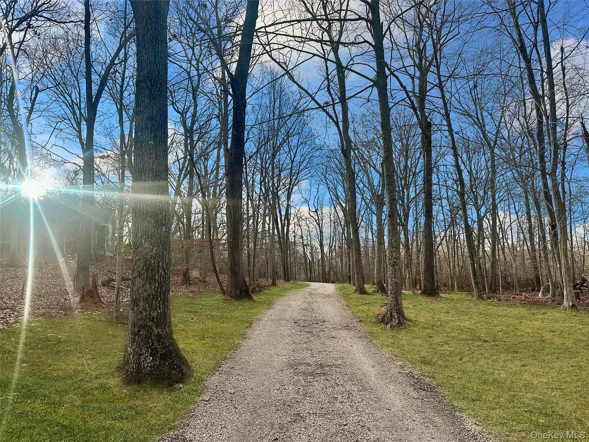 View of dirt / gravel road featuring a wooded view View of dirt / gravel road featuring a wooded view
