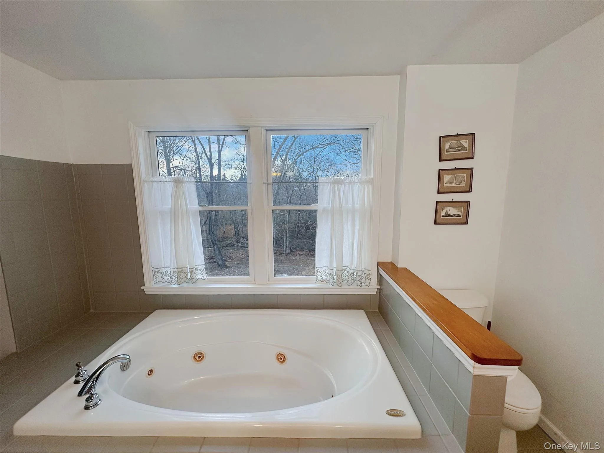 Bathroom featuring toilet and a whirlpool tub Bathroom featuring toilet and a whirlpool tub