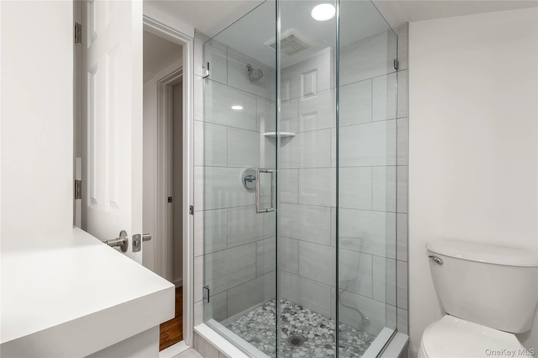 Bathroom with a shower stall and toilet Bathroom with a shower stall and toilet