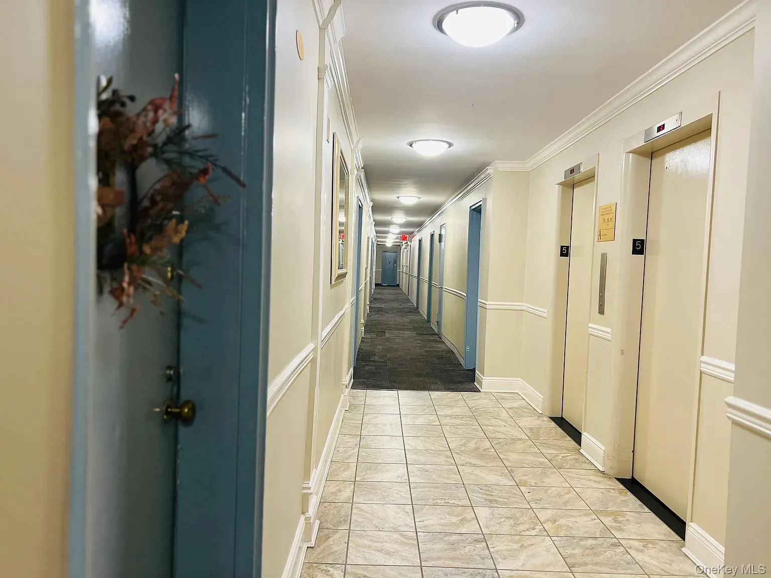 Corridor featuring elevator and ornamental molding Corridor featuring elevator and ornamental molding